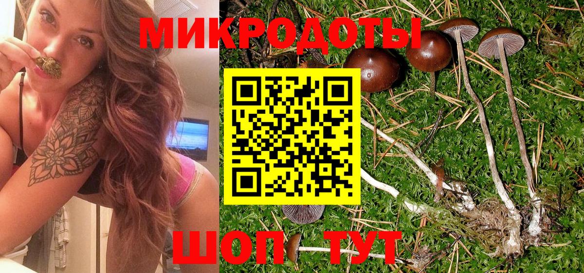 Галлюциногенные грибы GOLDEN TEACHER  Вход с VPN  Королёв  купить  цена  Псилоцибиновые грибы Cubensis 